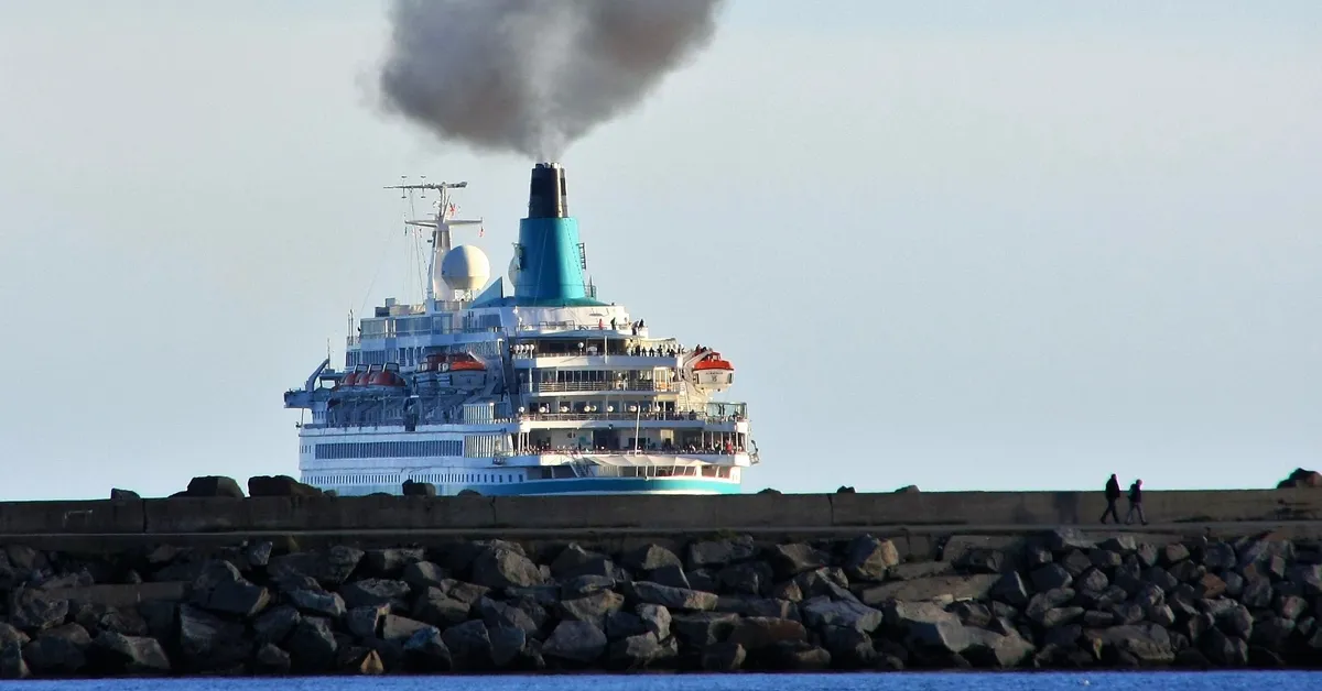 Spot Marine Mammals From a Cruise Ship